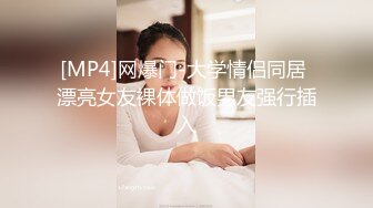 沧先生-丰腴身材古风旗袍大波妹子