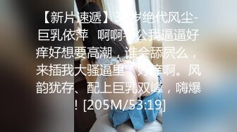 [MP4/574M]8/28最新 清纯女友苦苦哀求不要拍被操爽了以后怎么弄都行VIP1196