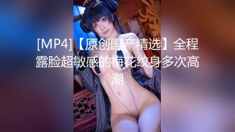 十二月最新流出手持厕拍猫眼原创偷拍几个颜值不错的气质美女尿尿