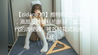 【zidan670】推特网红女神，高颜反差婊私拍新品，富二代的肉便器，被各种花式玩肏 (3)