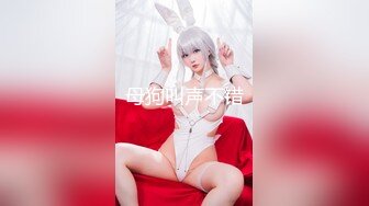 母狗叫声不错