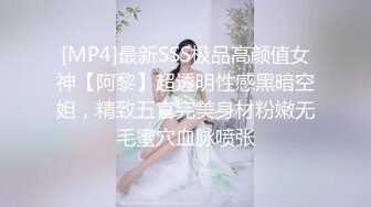 爱豆传媒 ID-5383 偷心女盗的完美性任务