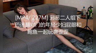 [MP4/ 1.04G] 长相文静长腿美臀新人妹子连体网袜激情啪啪，上位骑乘套弄自己动