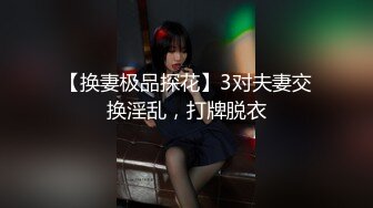 [影响问题工作] 与地面戏剧女演员的第一个也是最后一个奇迹奇闻趣事。记录了大约