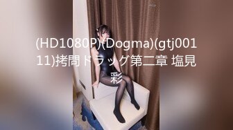 (HD1080P)(Dogma)(gtj00111)拷問ドラッグ第二章 塩見彩