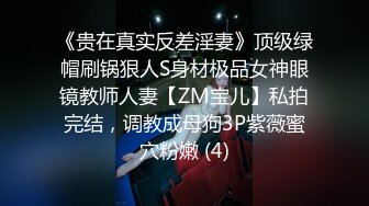 19岁学生妹！【陈陈尼】女仆装大屁股，道具插小穴 女仆装，菊花鲍鱼小美乳，给你想看的一切撸管佳作 (3)