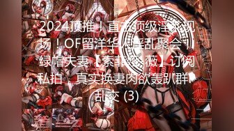 2024顶推！直击顶级淫乱现场！OF留洋华人淫乱聚会，绿帽夫妻【索菲娅-薇】订阅私拍，真实换妻肉欲轰趴群P乱交 (3)