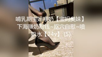 哺乳期宝妈喂奶【宝妈臭妹】下海赚奶粉钱~抠穴自慰~喷奶水【24v】 (5)