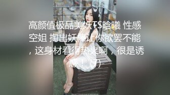 高颜值极品美妖TS晗曦 性感空姐 掏出妖棒让你欲罢不能，这身材看得热火啊，很是诱惑！ (7)