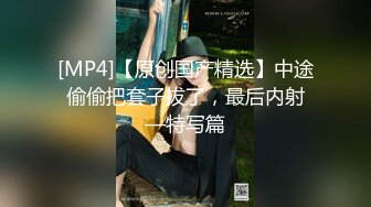 年轻夫妻第一次交换 2