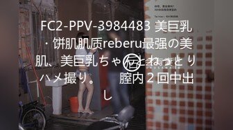 FC2-PPV-3984483 美巨乳・饼肌肌质reberu最强の美肌、美巨乳ちゃんとねっとりハメ撮り。⭐︎膣内２回中出し⭐︎