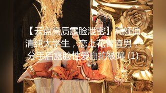 摄影大神 IES 各种美女人体艺术 很有美感 让人忍不住想抱起来操[407P+2V/1.08G]