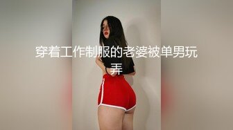 圣诞节小母狗