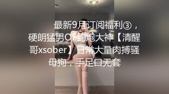 ⚫️⚫️最新9月订阅福利③，硬朗猛男OF约炮大神【清醒哥xsober】日常大量肉搏骚母狗，手足口无套