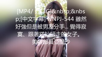 [MP4/ 1.33G]&nbsp;&nbsp;[中文字幕] NNPJ-544 雖然好強但是被男友分手... 覺得寂寞、跟著搭訕師走的女子。 美容部員亞里沙