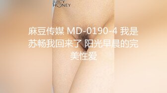 麻豆联合辣椒 HPP-023 操炮情人梦 紫色不夜城 今天想要性爱趴