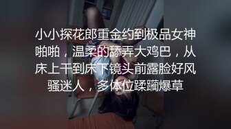 小小探花郎重金约到极品女神啪啪，温柔的舔弄大鸡巴，从床上干到床下镜头前露脸好风骚迷人，多体位蹂躏爆草