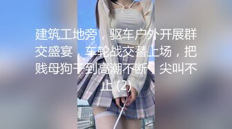 [MP4]麻豆传媒女神乱爱《侵犯骚货亲姐》姐你穿这样是在玩火 娇柔女神宋妮可