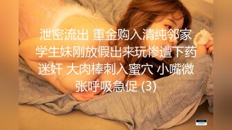 【91龍十三】极品风骚小少妇，眉眼之间全是风情，经典探花场景，沙发床上来回啪啪展示，撸管佳作不可错过