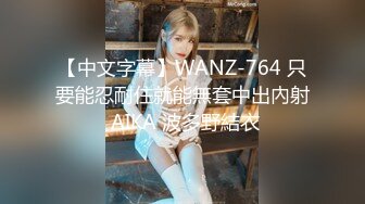 【中文字幕】WANZ-764 只要能忍耐住就能無套中出內射 AIKA 波多野結衣