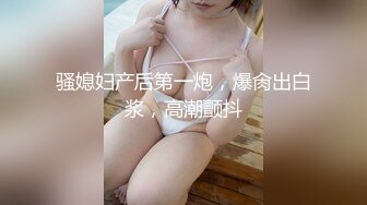 同性，TS伪娘给直男飞机1（17秒处验证）