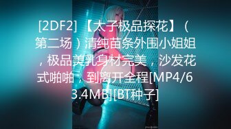 [MP4]STP24973 极品女神今日下海首秀，烈焰红唇女仆装，拨开定制多毛肥穴，圆润美臀极度诱惑，假屌放在柜子上骑坐，高潮浪叫大量喷水 VIP2209