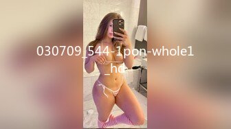 030709_544-1pon-whole1_hd