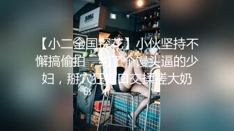 《极品CP魔手外购》全景逼脸同框偸拍商业城女蹲厕超多少妇少女靓妹大小便~人漂亮私处也极品~老熟女高高撅起大腚双洞清晰 (9)