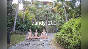 dandy-100