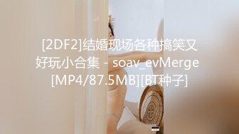 [2DF2]结婚现场各种搞笑又好玩小合集 - soav_evMerge [MP4/87.5MB][BT种子]