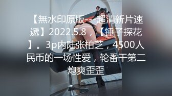 【無水印原版---超清新片速遞】2022.5.8，【锤子探花】。3p内陆张柏芝，4500人民币的一场性爱，轮番干第二炮爽歪歪