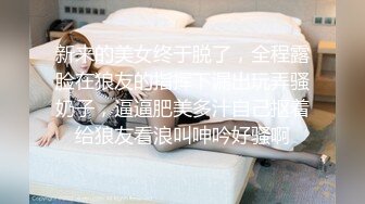 STP33129 豪乳女神 Diary 淫亂實錄 豪乳女友幻身狐尾女仆用蜜穴盡心伺候單男