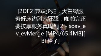 BDD系列DMM原档合集【40V】 (23)